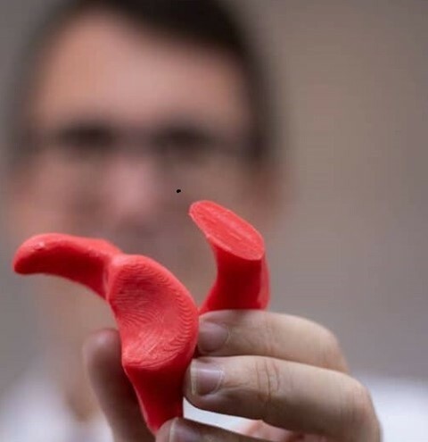 3dheals's tweet photo. #Interview with Dr. Bruno Gobbato: #3DPrinting #Orthopedics #anatomicalmodels #surgicalplanning #surgery https://t.co/HOK2fElUdX https://t.co/JkA1ARzbIZ