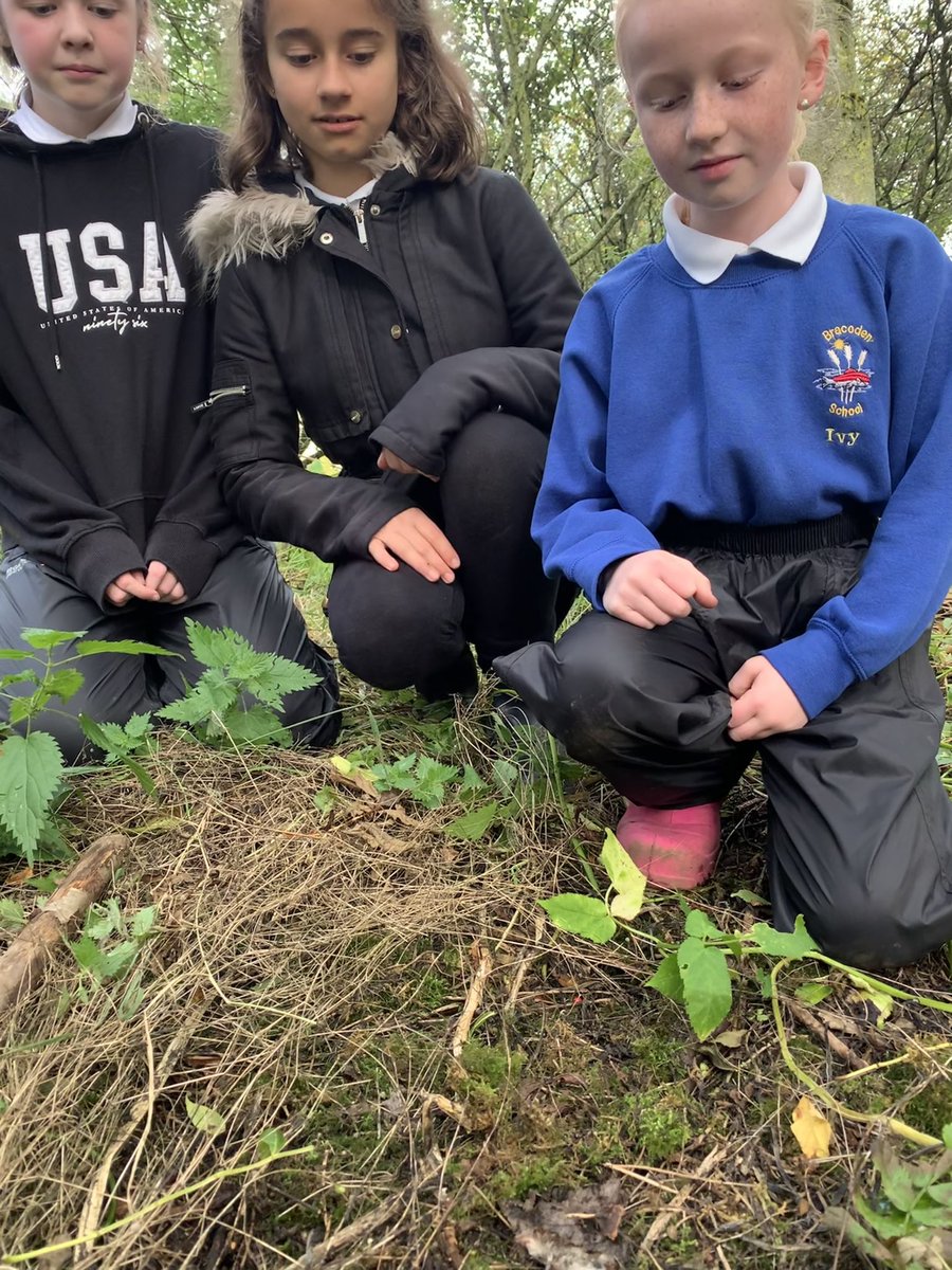 LeafyTrailsFS's tweet image. A few sad faces after discovering a dead shrew in the woods @Bracoden15 #lotsofquestions #awe #wonder #outdoorlearning #STEM #wildlife #nature