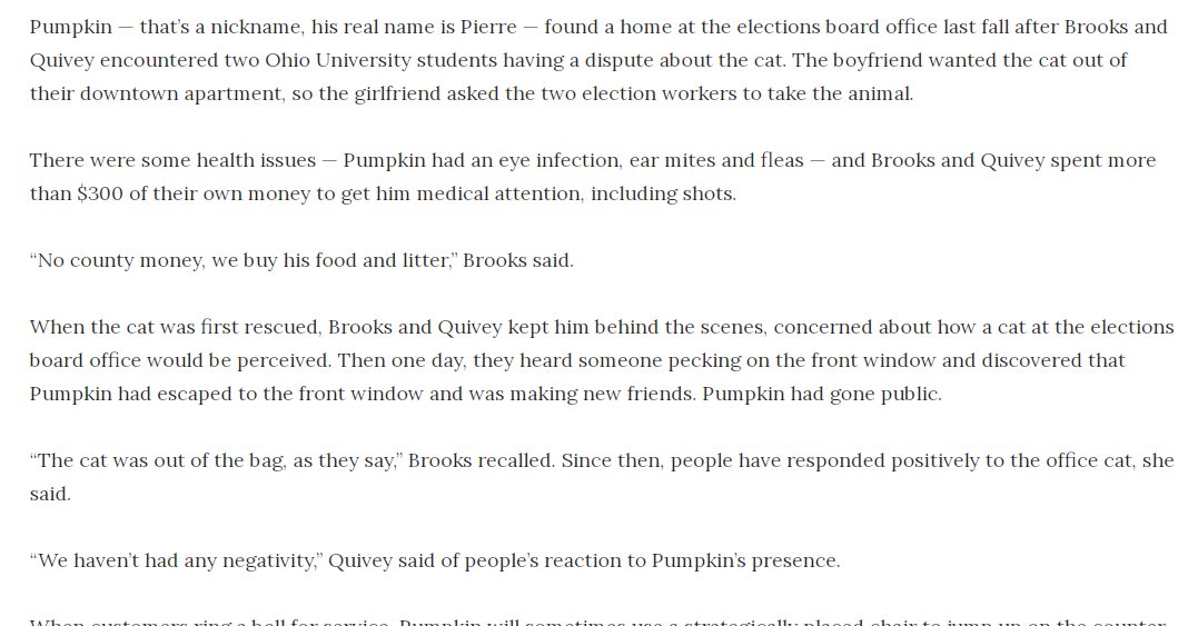 Today I learned some vital Pumpkin lore:

Pumpkin's real name is Pierre.