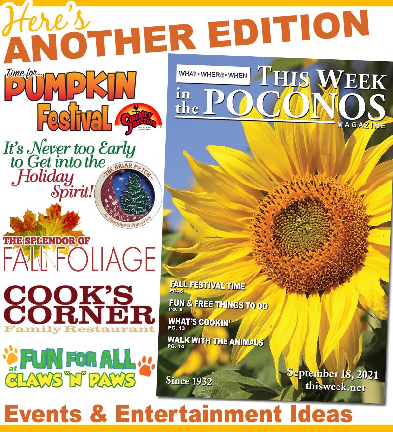 This Week Magazine tweet media