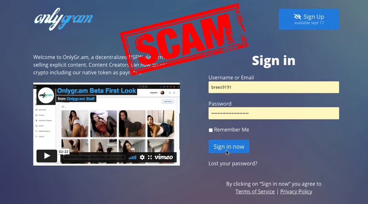 SpyWolfNetwork's tweet photo. Another day another scam π©
#OnlyGram a "decentralized NSFW platform for buying and selling explicit content with crypto" just ran away with everybody's money, deleting their social accounts and moving on to their next scam. Stay safe crypto fam ππ»ππ»ππ» https://t.co/Ley6U2O3MV