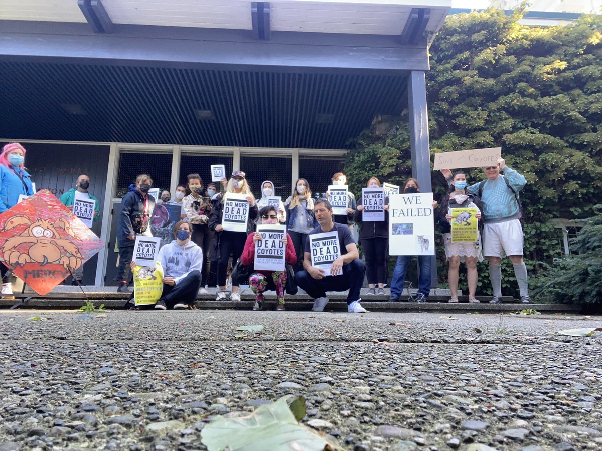 #coyotevigil now in front of <a href="/ParkBoard/">Vancouver Board of Parks and Recreation</a>. We need to do better. For wildlife and people. #StanleyPark is for both. #coexistence. Thank you <a href="/sarahblyth/">Sarah Blyth - Gerszak</a> for organizing. ❤️