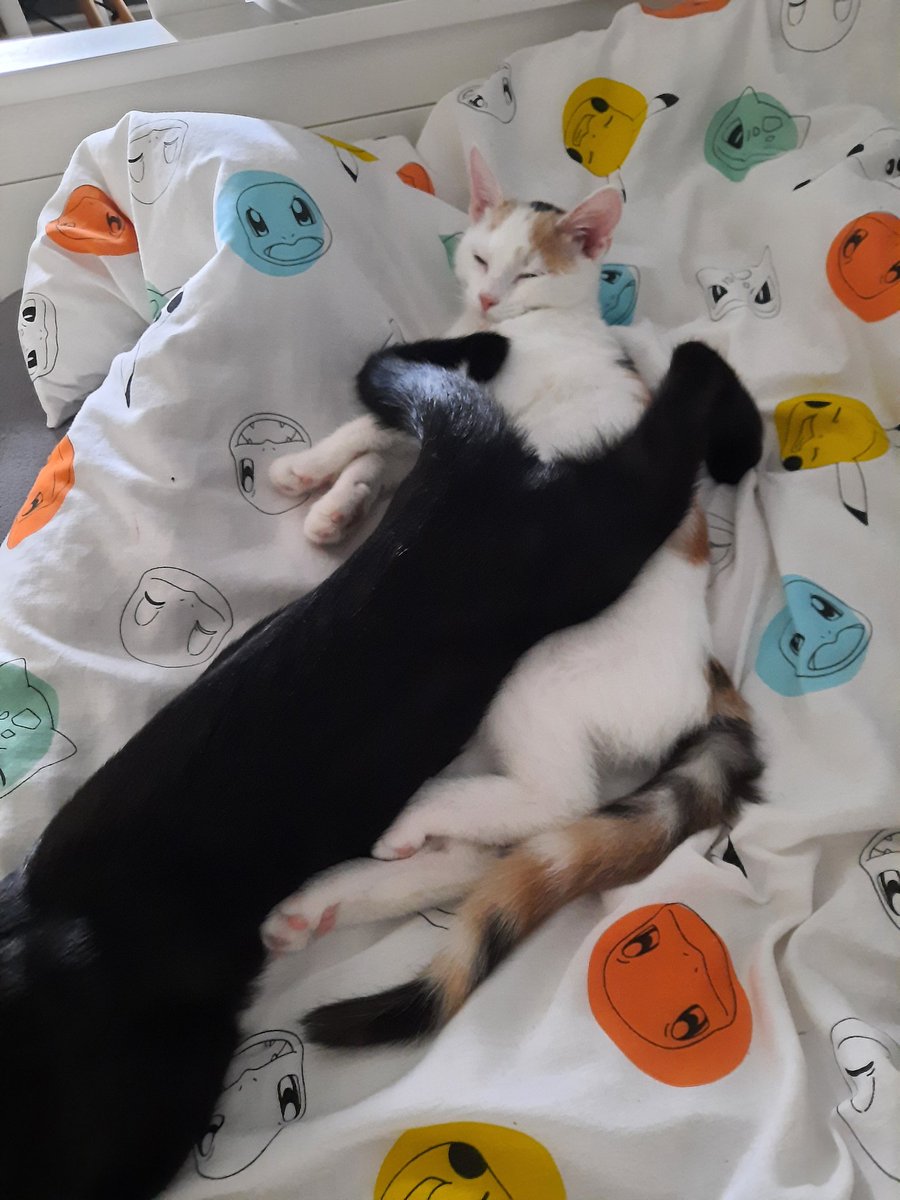 Chelsea. tweet media