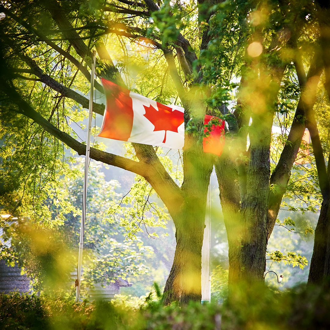 Summerhill Resorts on Twitter "From Resort Cottage and RV ownership to