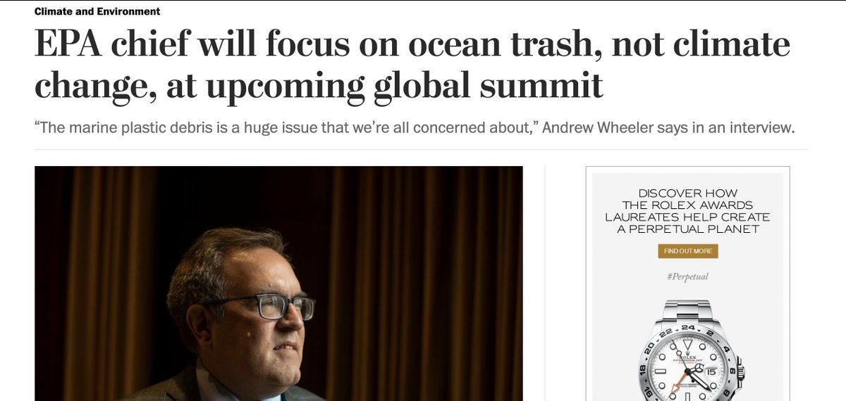 Chris D'Angelo tweet media