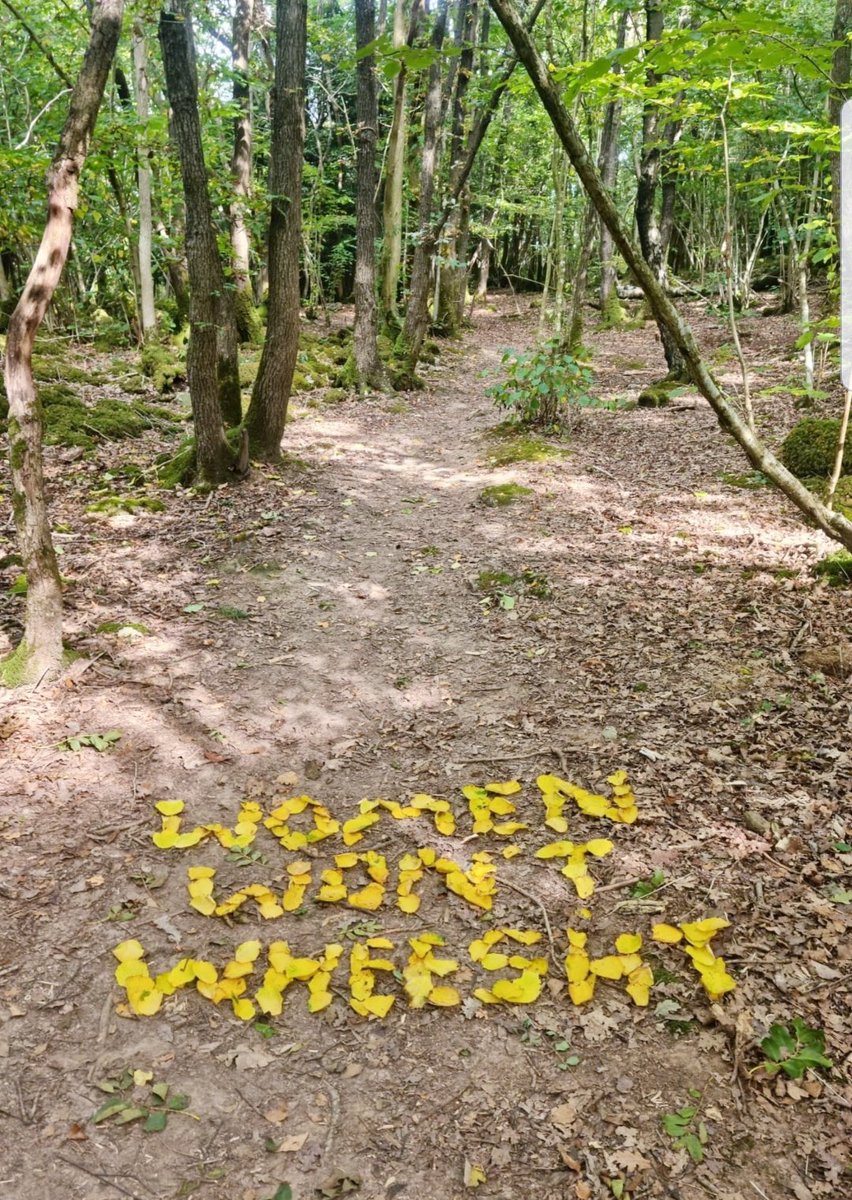 Spotted in Arnside. Women on the Lancashire Cumbrian border won't wheest! 💚💟💜 @Dis_Critic #WomenWontWheesht 
#IStandWithMarionMillar