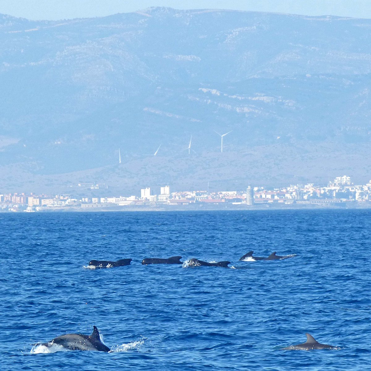 Iduna Tours Birding & Nature tweet media