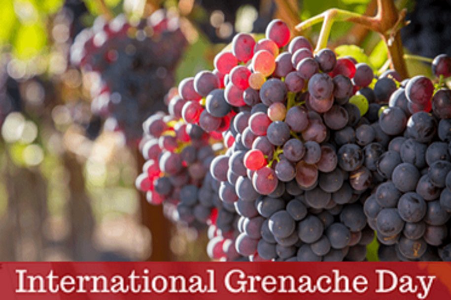 livingitupct's tweet photo. Celebrate #GrenacheDay on Friday, 17 Sep, honouring this complex &amp; intriguing grape varietal. Welgegund Heritage Wines invite you to join the ‘Grenachistas’ to explore the delights of their 2019 Grenache Noir. 🍷 Available from the estate &amp; their online shop for R375 per bottle. https://t.co/i3TgxAcEDP