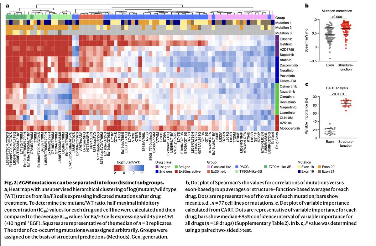 jillfeldman4's tweet image. Fascinating research! @JMPRobichaux &amp;amp; team found #EGFR mutations (atypical too) can be divided into 4 distinct subgroups based on structure &amp;amp; function - which better predict drug response &amp;amp; pt outcomes than exon based groups #LCSM @OncoAlert 
Full article go.nature.com/3nJhOSm