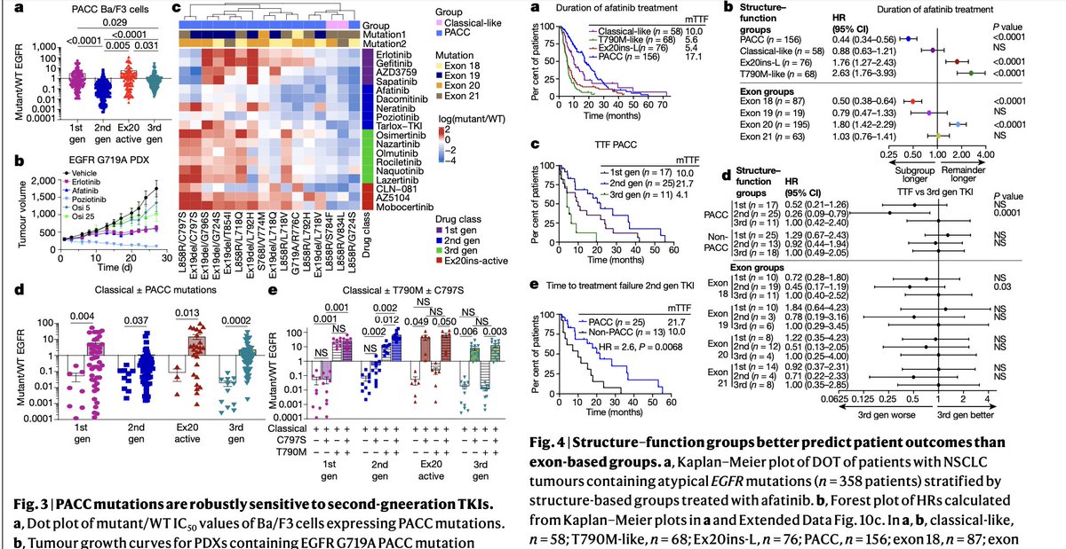 jillfeldman4's tweet image. Fascinating research! @JMPRobichaux &amp;amp; team found #EGFR mutations (atypical too) can be divided into 4 distinct subgroups based on structure &amp;amp; function - which better predict drug response &amp;amp; pt outcomes than exon based groups #LCSM @OncoAlert 
Full article go.nature.com/3nJhOSm