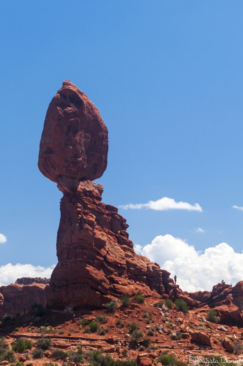 joy_for_ever's tweet photo. A cool fact: the gigantic #BalancedRock in @ArchesNPS is 128' tall (see the human next to it). The #GeneralGrantTree #giantsequoia in @SequoiaKingsNPS has its first branch at 129'. The tree continues above that, going to 268'. You can't tell the tree's height standing under it. https://t.co/r022eMBeNI