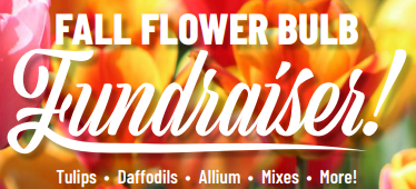 LOV PTO (@lovpto) on Twitter photo Purchase your spring flower bulbs by Oct 15th and 50% of the sale will support Lovettsville Elementary. lovpto.org/fundraiser
<a href="/LovettsvilleES/">Lovettsville ES</a> Purchase your spring flower bulbs by Oct 15th and 50% of the sale will support Lovettsville Elementary. lovpto.org/fundraiser
<a href="/LovettsvilleES/">Lovettsville ES</a>