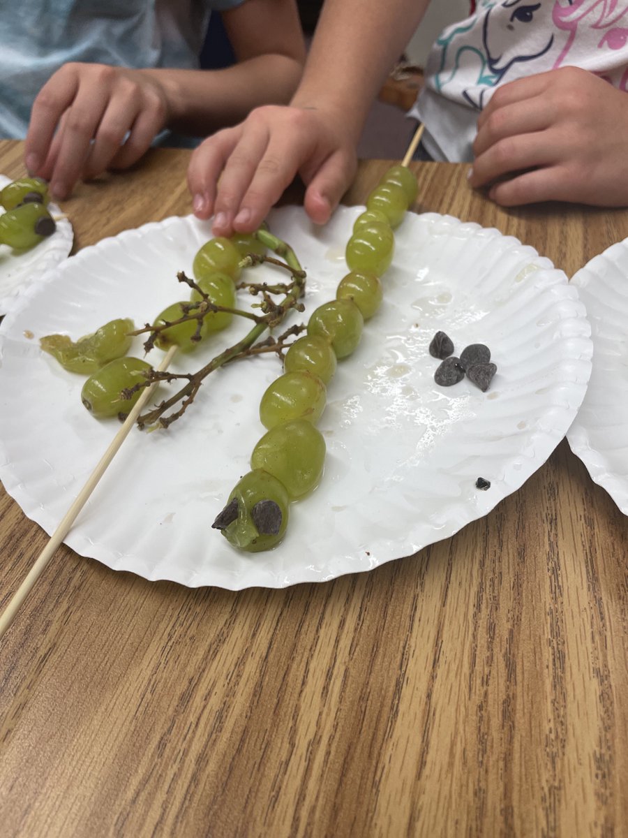 We're learning all about fruits during Food Pyramid Cooking Club at White Elementary School this week! Look at these adorable grape caterpillars! 🐛 #STEALTHMode