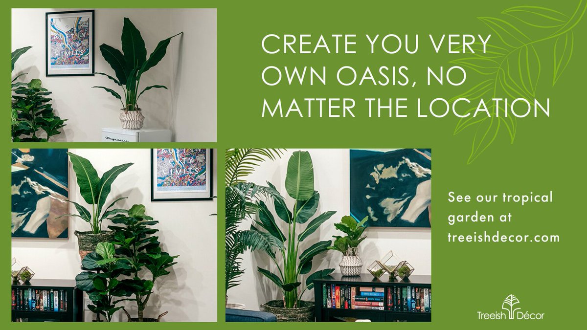 TreeishD's tweet image. Create your oasis with the best plants for your home decor.
 
You provide the inspo, we provide the plants.
 
Follow us on TikTok @treeish_decor to keep up with our latest posts!
 
#TreeishDecor #homedecor #decorinspo #snakeplants #nomorewater #treeishdecor