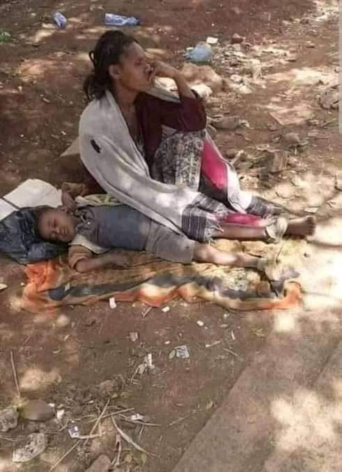 EngGiduma's tweet photo. በወገኖቻችን ላይ የደረሰው መፈናቀልና ስቃይ ያመናል!! 
ዛሬም ነገም ወደፊትም ከወገኖቻችን ጎን እንቆማለን!
#UnityForEthiopia @NeaminZeleke @iyoba4u @eslemanabayy @AbrarSuleiman @BlenMamoDT @SuleimanAbdell7 @sanusi90064 @dejene_2011  @NafyadWakjira @BekeleWoyecha https://t.co/dIZObtzCnM