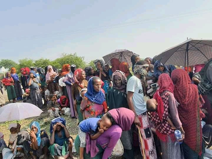 EngGiduma's tweet photo. በወገኖቻችን ላይ የደረሰው መፈናቀልና ስቃይ ያመናል!! 
ዛሬም ነገም ወደፊትም ከወገኖቻችን ጎን እንቆማለን!
#UnityForEthiopia @NeaminZeleke @iyoba4u @eslemanabayy @AbrarSuleiman @BlenMamoDT @SuleimanAbdell7 @sanusi90064 @dejene_2011  @NafyadWakjira @BekeleWoyecha https://t.co/dIZObtzCnM