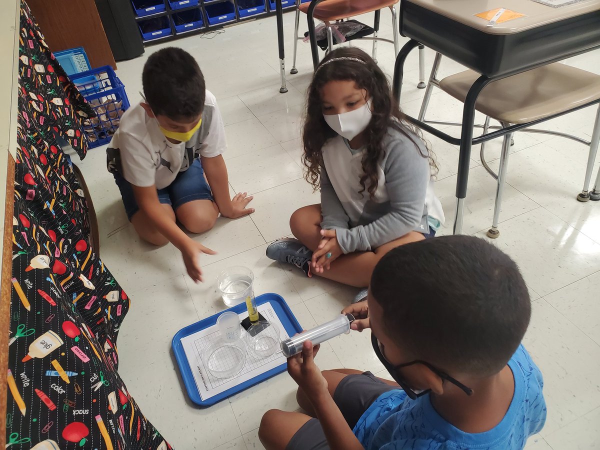 Mrs. Bognetti tweet media