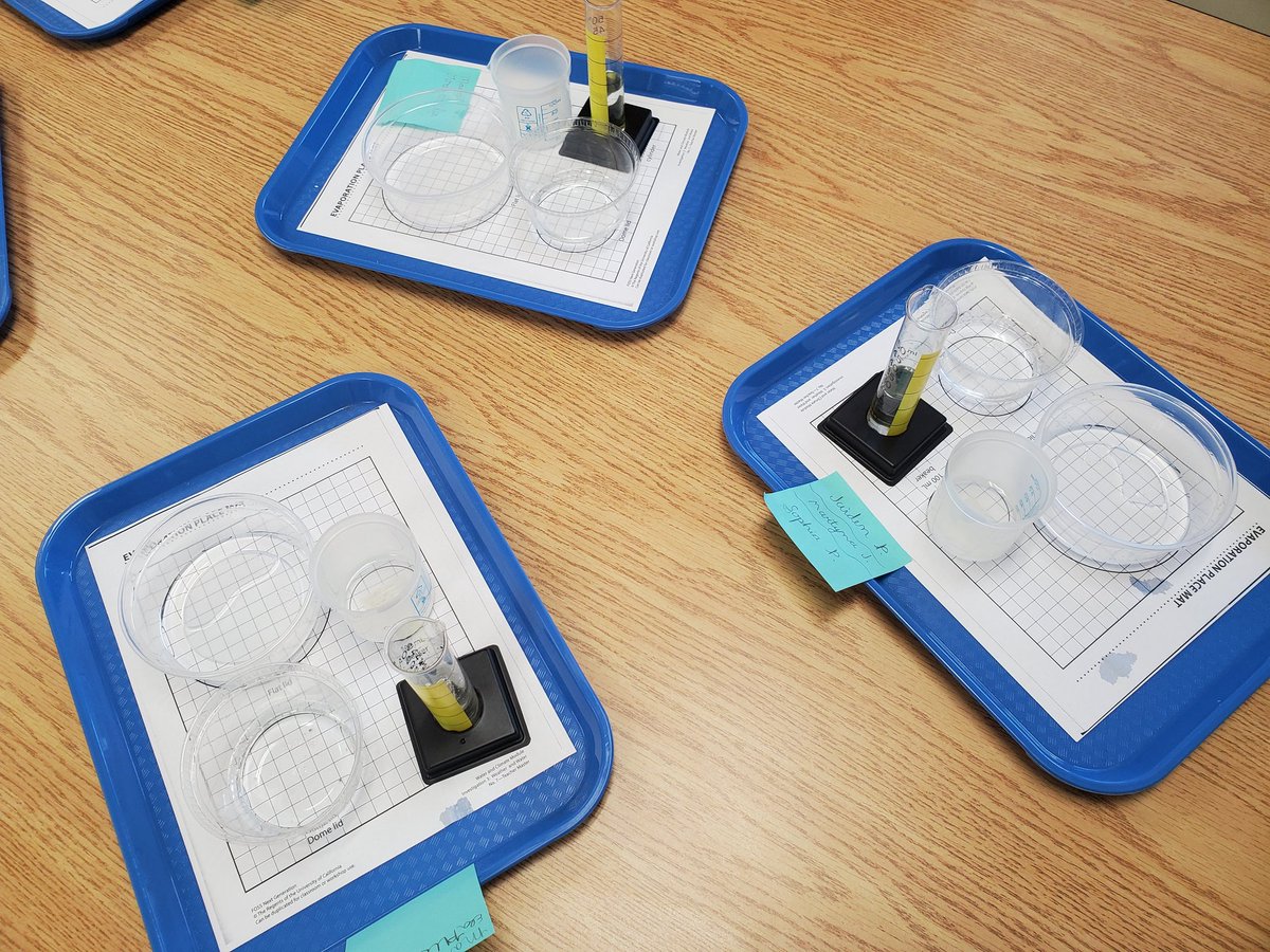 Mrs. Bognetti tweet media