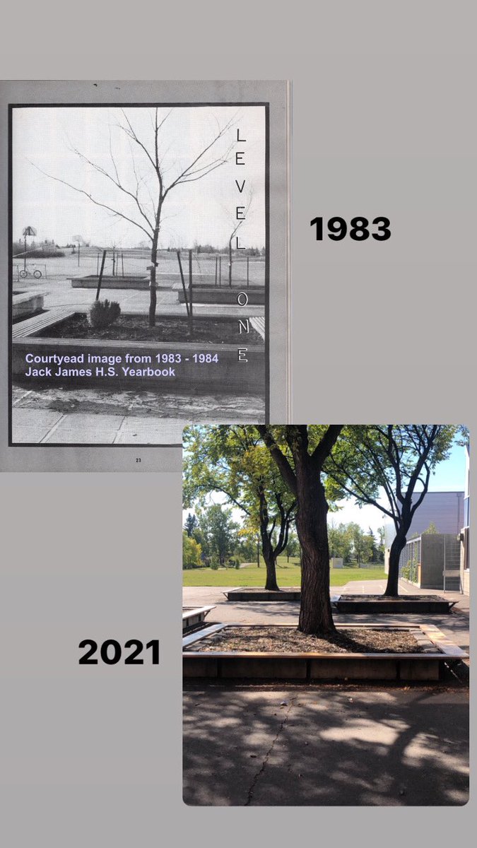 JackJamesHighSchool tweet media