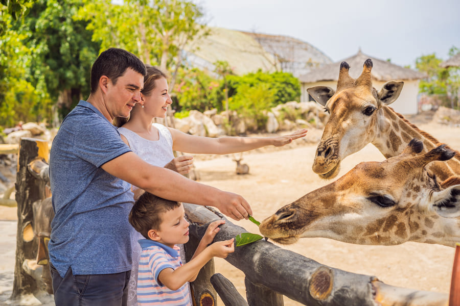 CalusaBayNaples's tweet photo. At the Naples Zoo, you will enjoy a day of exploring over 70 exotic animal and plant species along miles of beautifully crafted pathways. Be sure to check out Alligator Bay and Tiger Forest, which are some of the zoo’s main exhibits. 

#napleszoo #naplesfl https://t.co/eC5KggWx8w