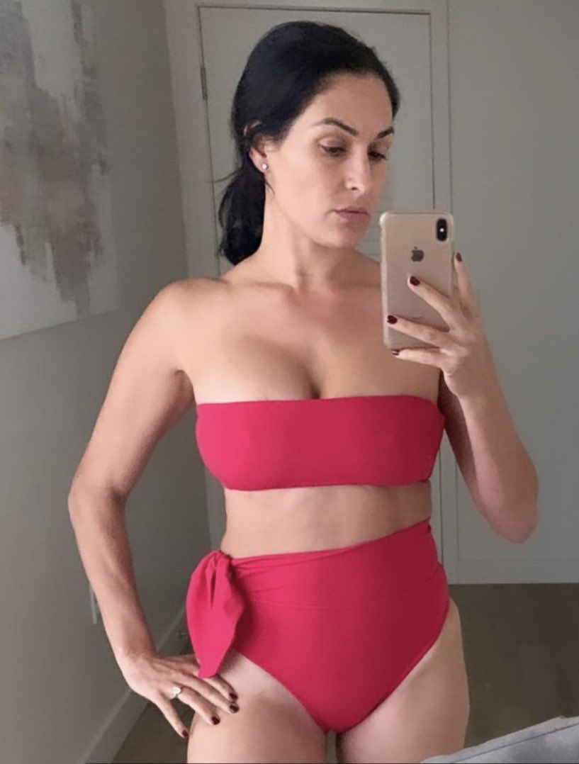 WWE Star Nikki Bella Drops Latest Swimsuit Photo; Shares Hispanic Connection 1