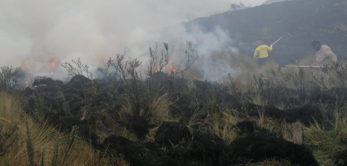 DigitalRiobamba's tweet photo. #NOTAS: los #Guardaparques de la Reserva de Producción de Fauna Chimborazo #controlaron un conato de #incendio forestal en el sector Bocatoma, cantón Guano. Al momento se está georeferenciando el sitio.
#Chimborazo| https://t.co/45VteHFjjL