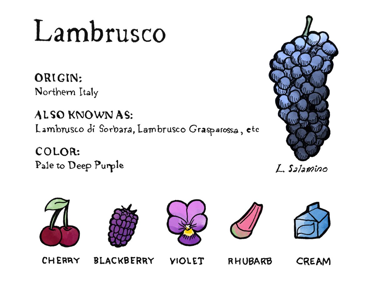 WineFolly's tweet photo. Lambrusco still has a long way to go since it tarnished its reputation nearly 40 years ago. Fortunately, this means you can find great wines for obscenely good prices. Lambrusco's story is more fascinating than probably imagined. https://t.co/d38VNV1bBx https://t.co/skKEA0D1Gn