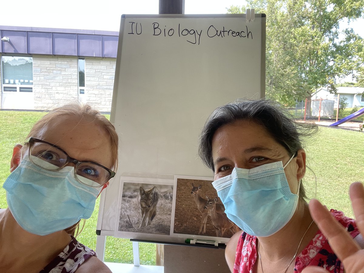 IU Biology Outreach tweet media
