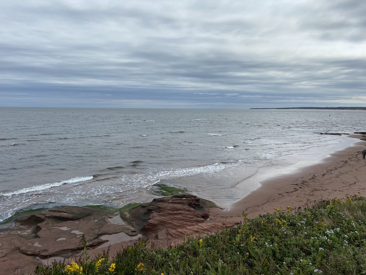 Panorama field with a view <a href="/Sevita_Int/">Sevita International</a> #ipbeans #PEI