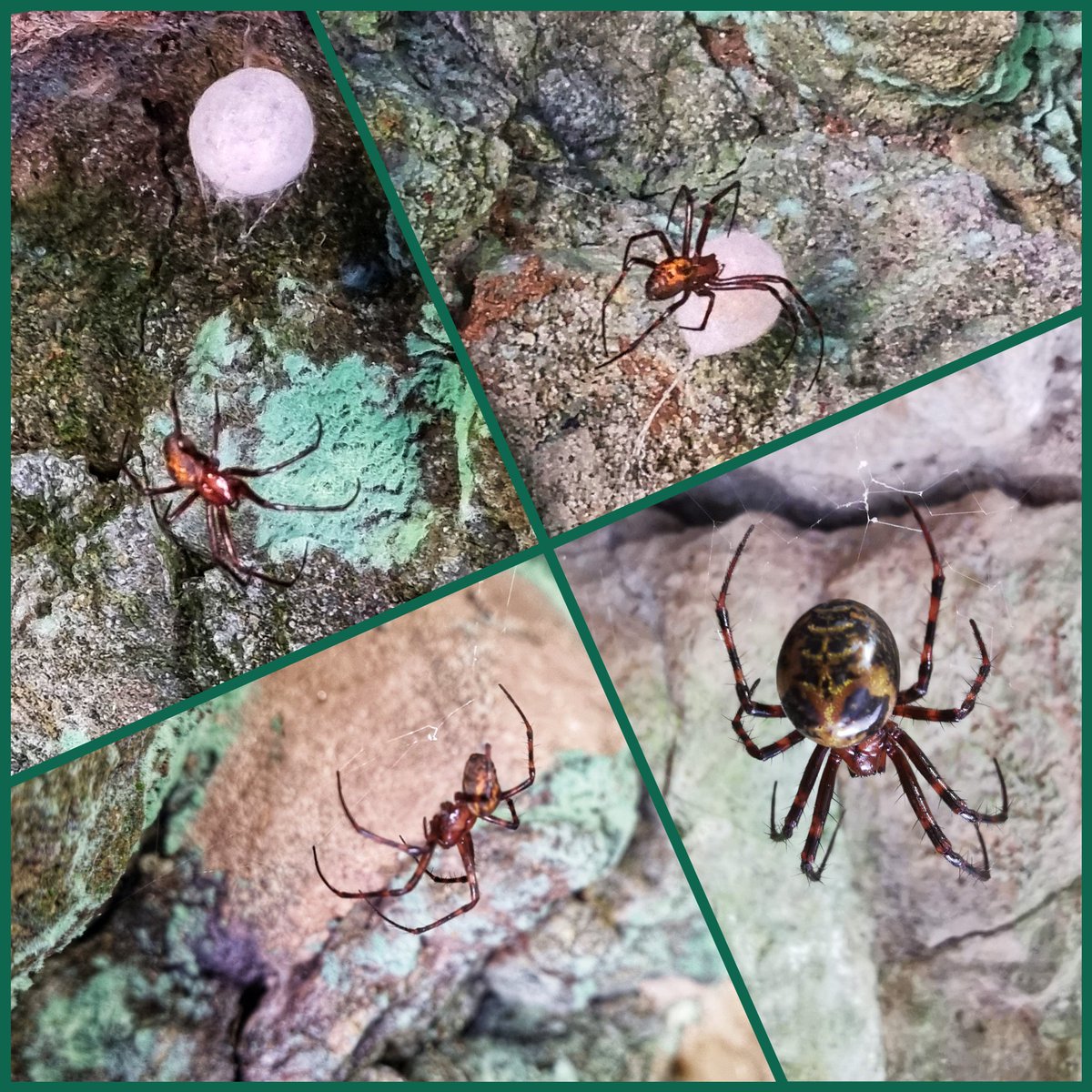 Treak Cliff Cavern tweet media