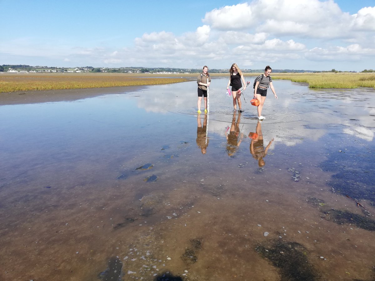 Another beautiful day in #NorthWales, still on our coastal processes field study with fantastic students @sos_bangor_uni. <a href="/LeicaGeosystems/">LeicaGeosystems</a> LASER scanning the notches in dunes, and profile levelling in estuary in start of a long term monitoring campaign.
