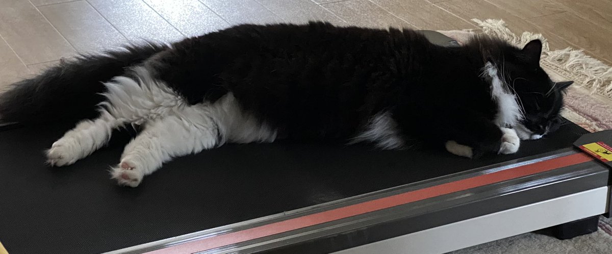 Meena Ali tweet media