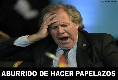 📢📢 Arriba hermanos de la #PatriaGrande!!!!
Demos un ”empujoncito” a la #OEAGolpista hacia el abismo del olvido 😉
#NoMasOEA #AlmagroRenuncia #Mexico