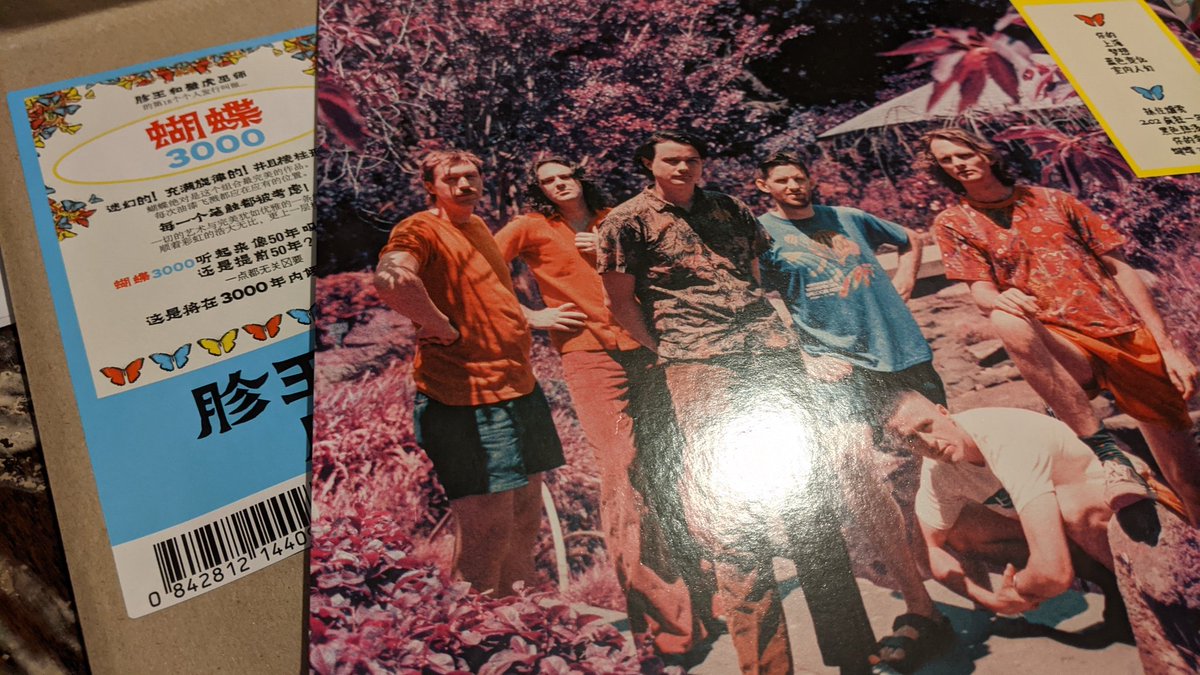 zombie_media's tweet photo. Finally arrived, and it's a thing of beauty.
Look at that blue, just look at it...
#kinggizzard #butterfly3000 @kinggizzard https://t.co/yImNVqhnJj