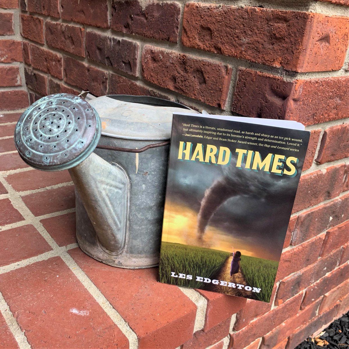 "Hard Times is a literate, unadorned read, as harsh and sharp as an ice pick wound, but ultimately inspiring due to its heroine's strength and determination. Loved it."
- <a href="/joelansdale/">Joe Lansdale</a>