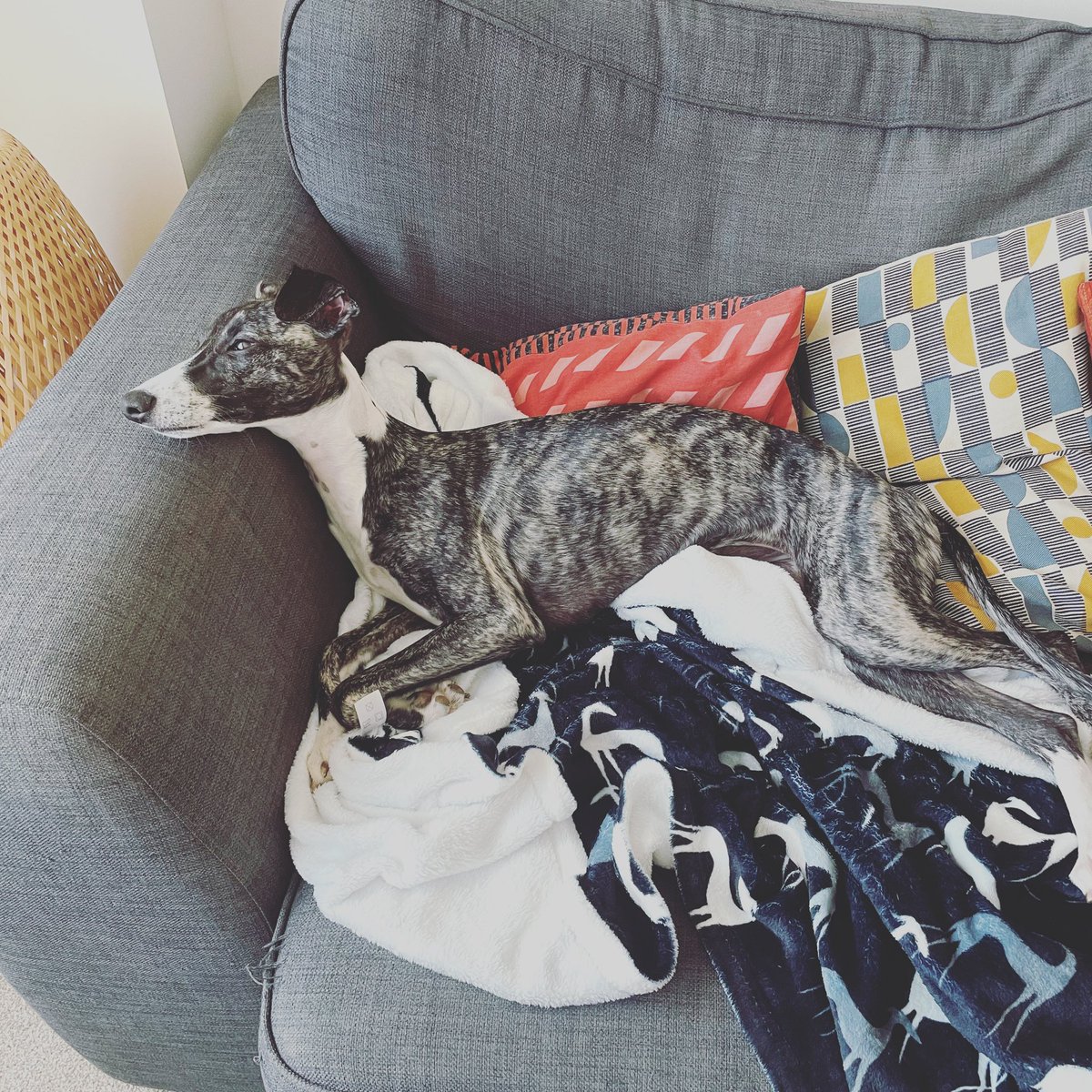 Louise Howson tweet media