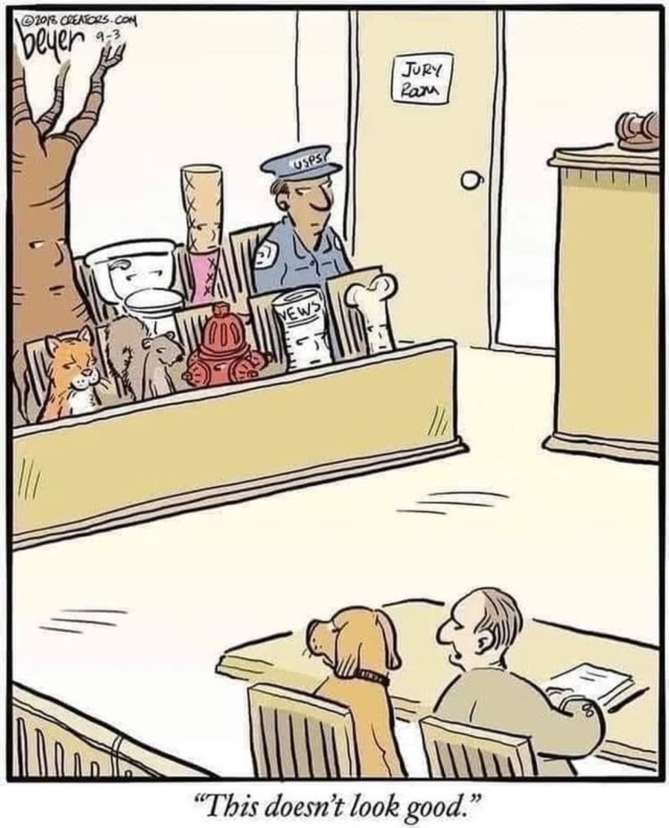 FlaBarYLD's tweet image. It was at this momemt in the trial when the defense team knew they needed to find a new jury consultant ...  #WednesdayLegalHumor 😆

(H/t @flapaf)