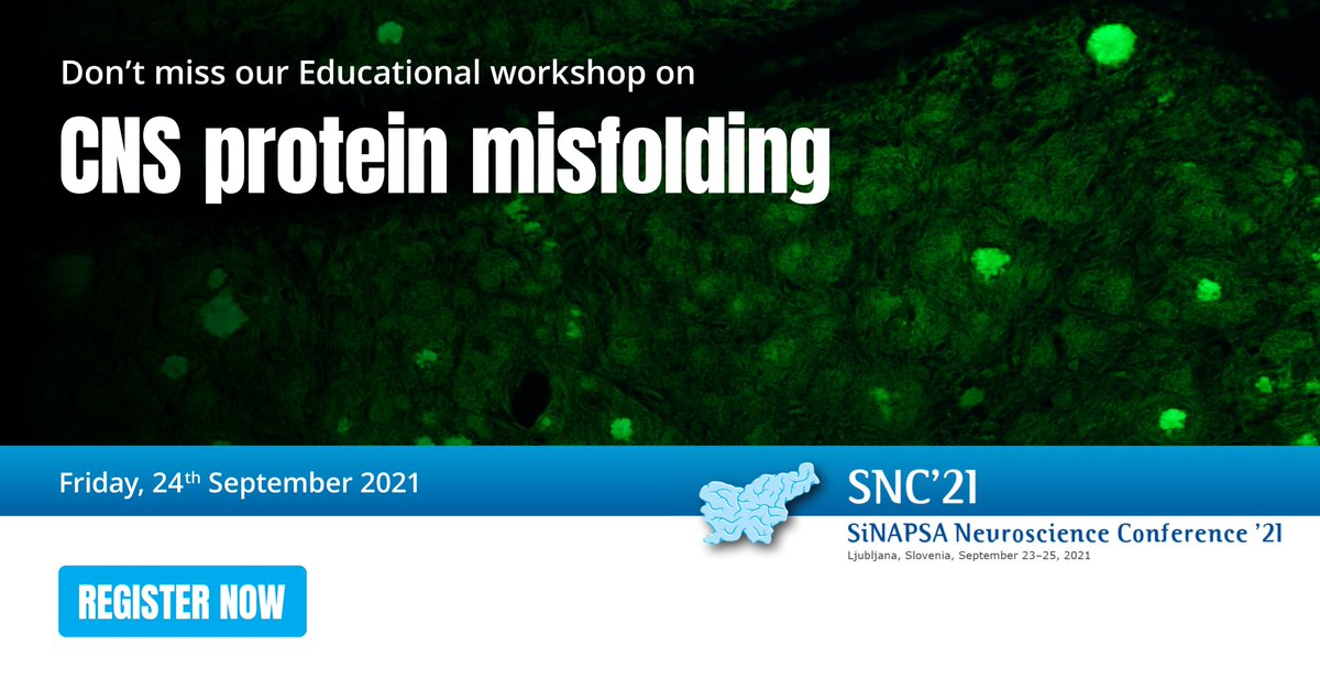 Sinapsa_'s tweet photo. SiNAPSA invites you to the SNC’21 Educational Workshop on Protein Misfolding in CNS Disorders [https://t.co/zgvDfQKOnf]  Register without fee [https://t.co/x1rQTYvmEI] to learn and participate in discussion!    
#SiNAPSA #SNC21 #neuroscience @ibroSecretariat https://t.co/uAm1kcapu8