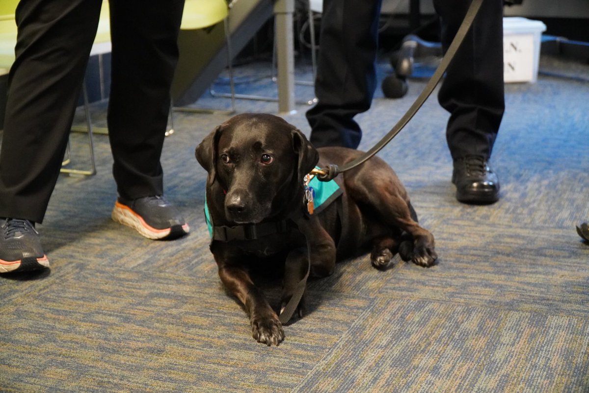 Dr. Sobo, of the Employee Assistance Program, joined the Rainbow therapy dogs organization in <a href="/ChicagoCAPS18/">ChicagoCAPS18</a> to talk about resources available to officers. These dogs are brought in after a traumatic event has occurred but are also available to officers as needed &amp; upon request.