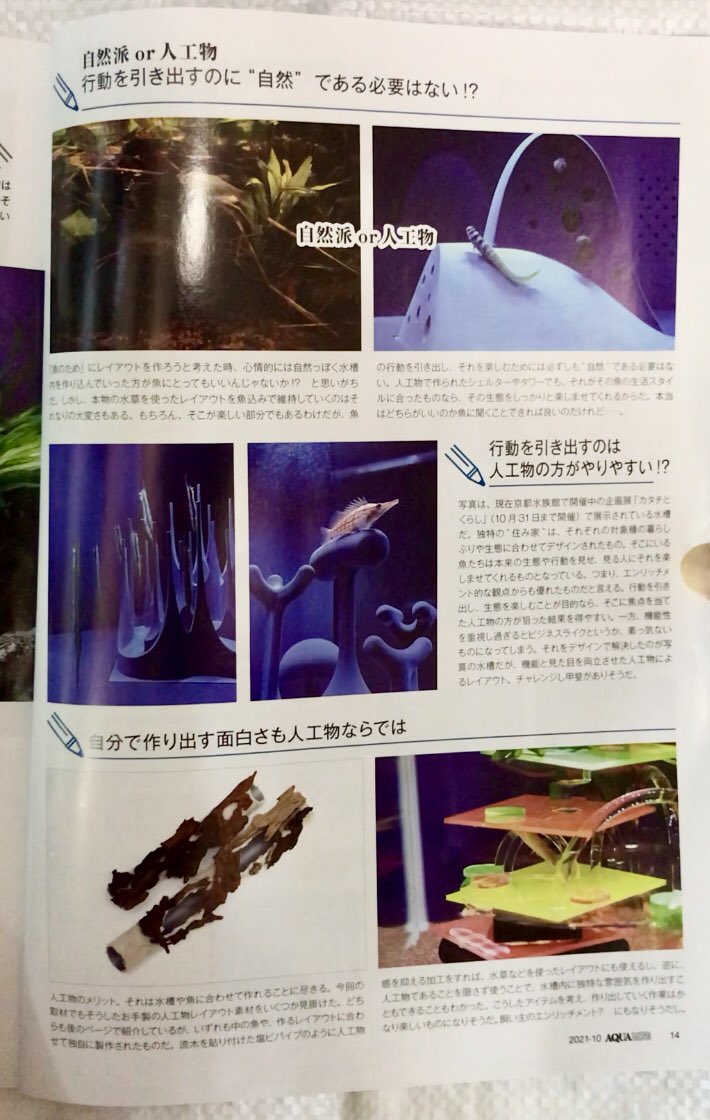 Corydoras_fiw02's tweet image. #月刊アクアライフ 様､ご採用有り難うございます🙇‍♂️
水と石と流木の世界の住人が手作りクッションを気に入ってくれたので良かったです😸(自然派or人工物)のページはリンクしてるかの様で嬉しく思いました｡人工物のミスマッチ感は想像とストーリー性を広げてくれるので楽しいです #アクアライフ🐠