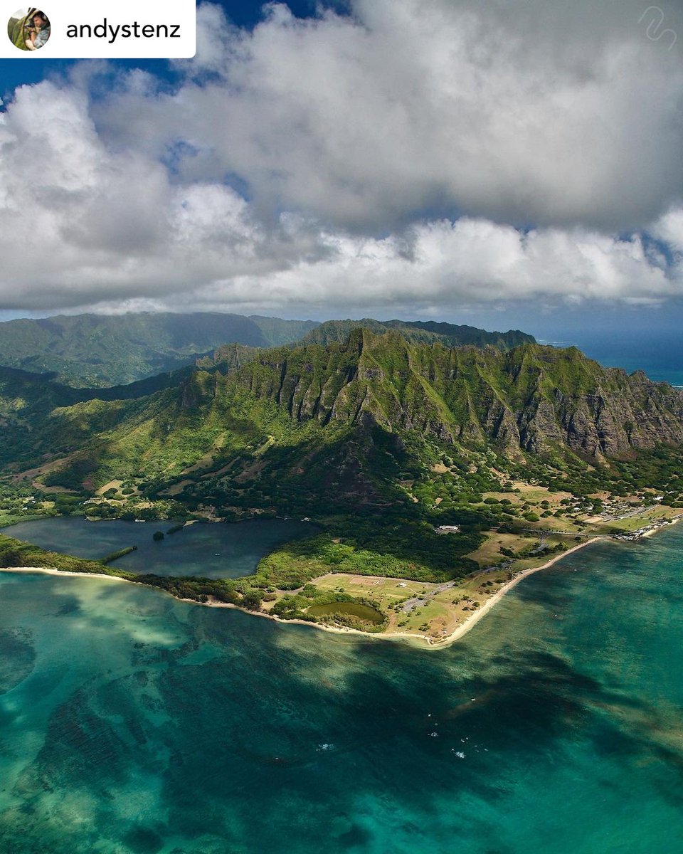 Aloha for Hawaii tweet media