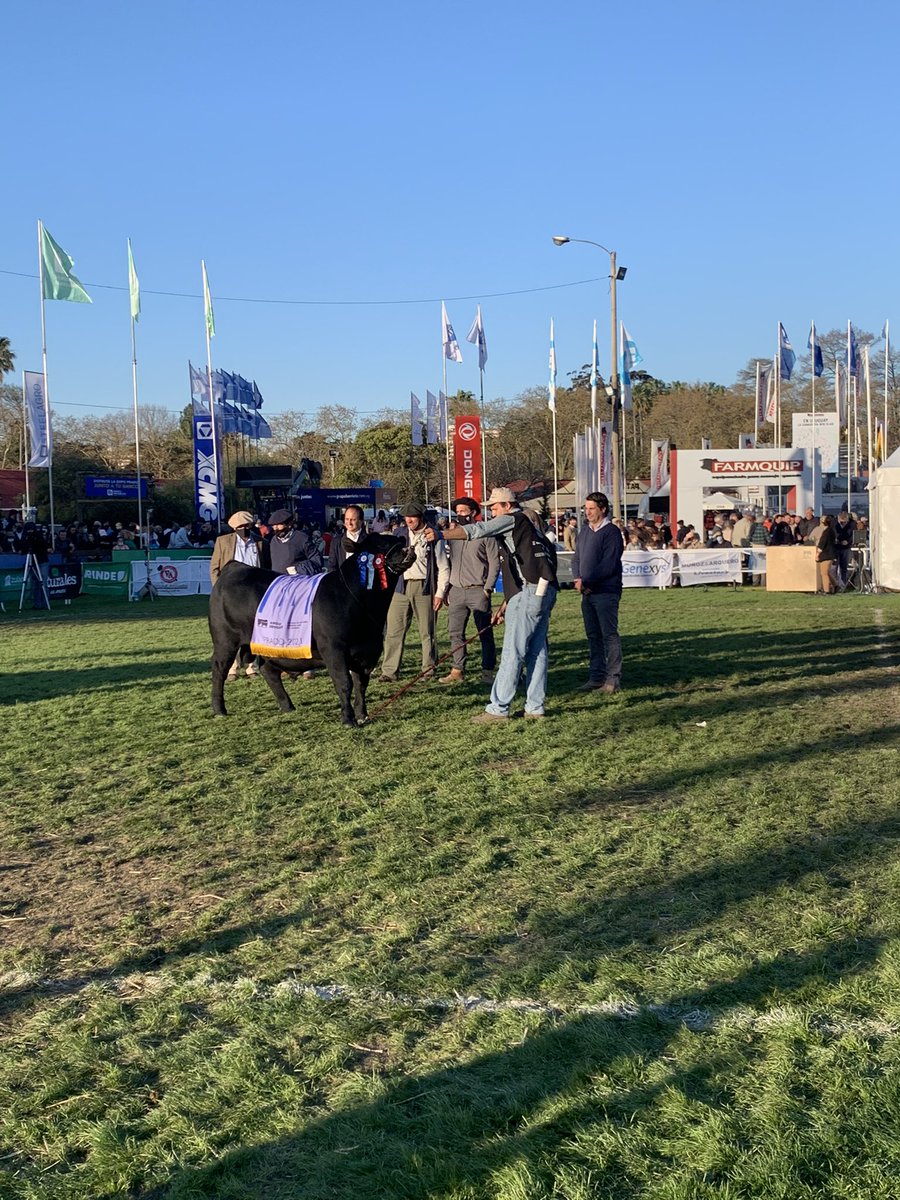 La alegría es inmensa!! TERCER MEJOR MACHO 🥉🏆<a href="/AngusUruguay/">Angus Uruguay</a>