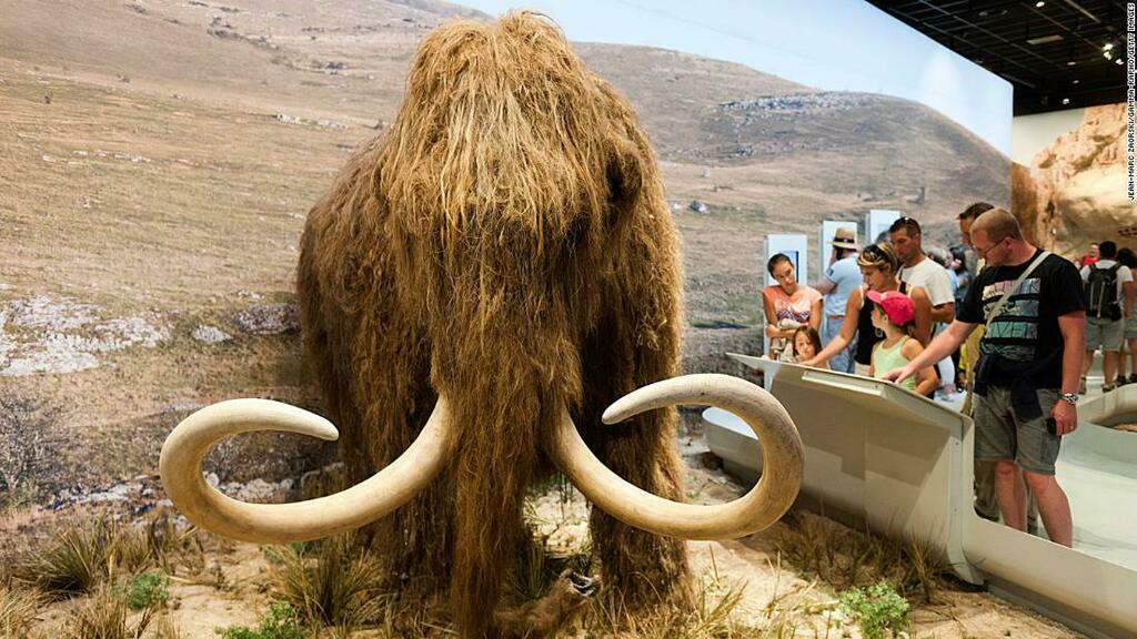 ift.tt/3Ei3JS6 Scientists want to resurrect the woolly mammoth. They just got $15 million to make it happen #sciencenews