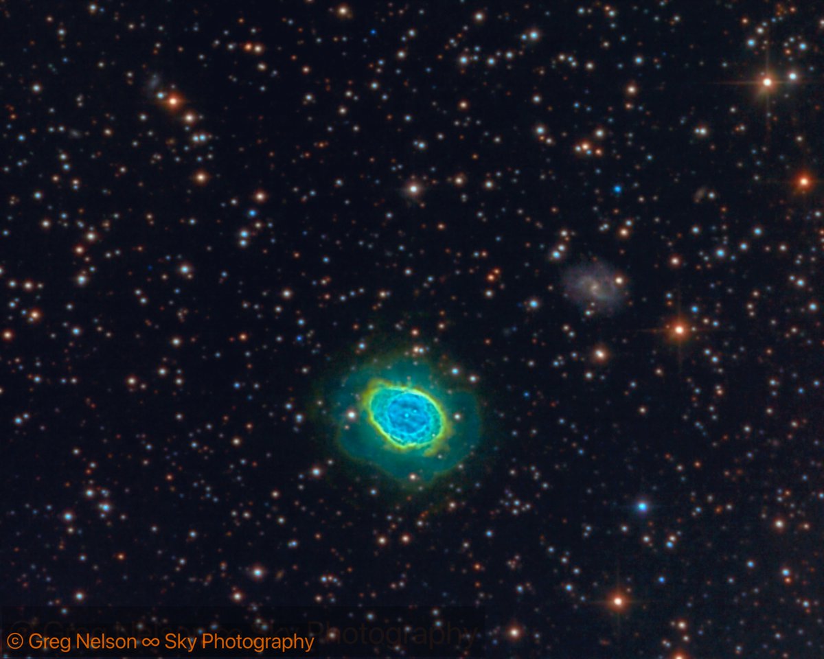 DiffractionSBIG's tweet photo. Check out this stellar shot!

M57 in SHO with RGB Stars taken with Aluma AC4040 shot by Greg Nelson.

#astronomy #astrophotography #scientificcamera #scientificimaging https://t.co/sDV5C1cnJN