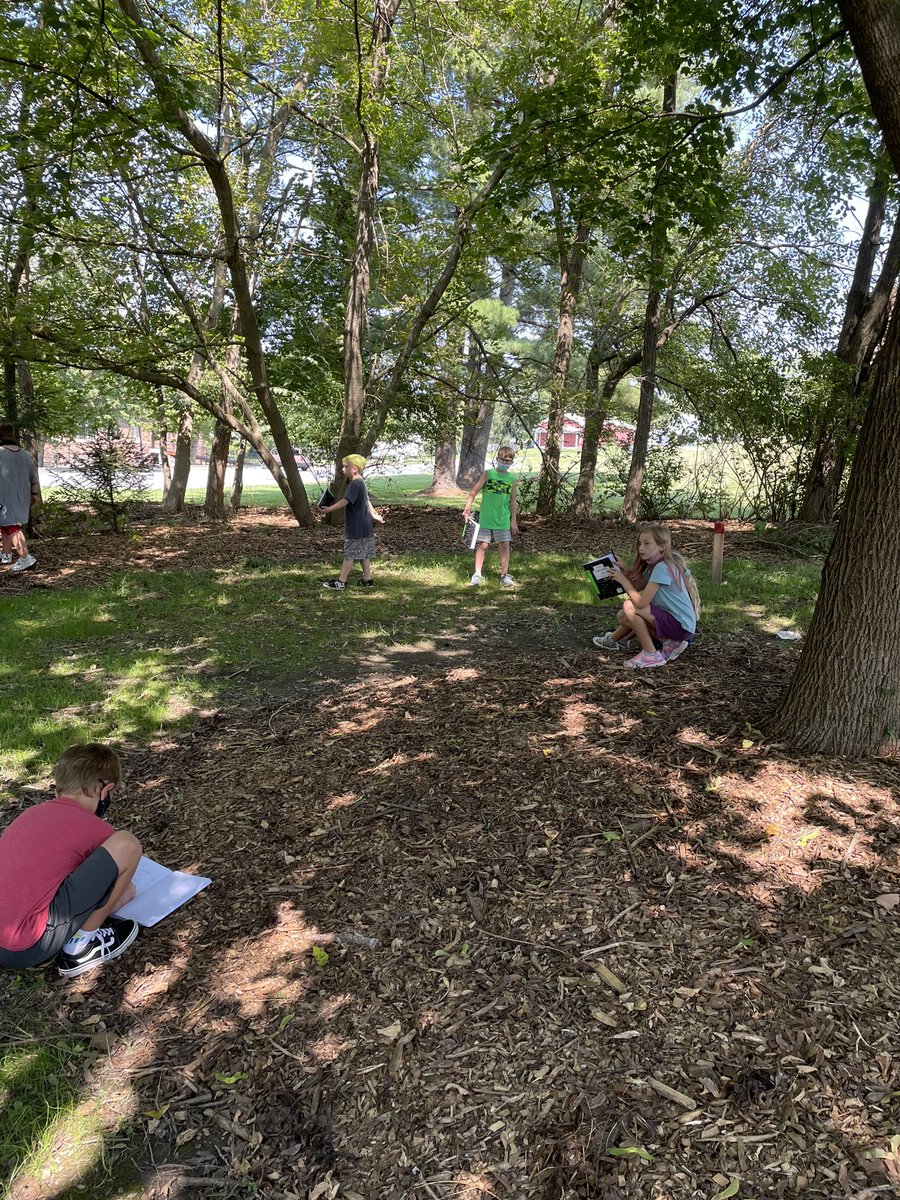 msbrownwes3's tweet photo. We had a great time on the nature trail today! #weStandTogether #becomebelongnycsd #inspireWES #reconnectedNYCSD @WESpolarbears https://t.co/59XphAdYw6