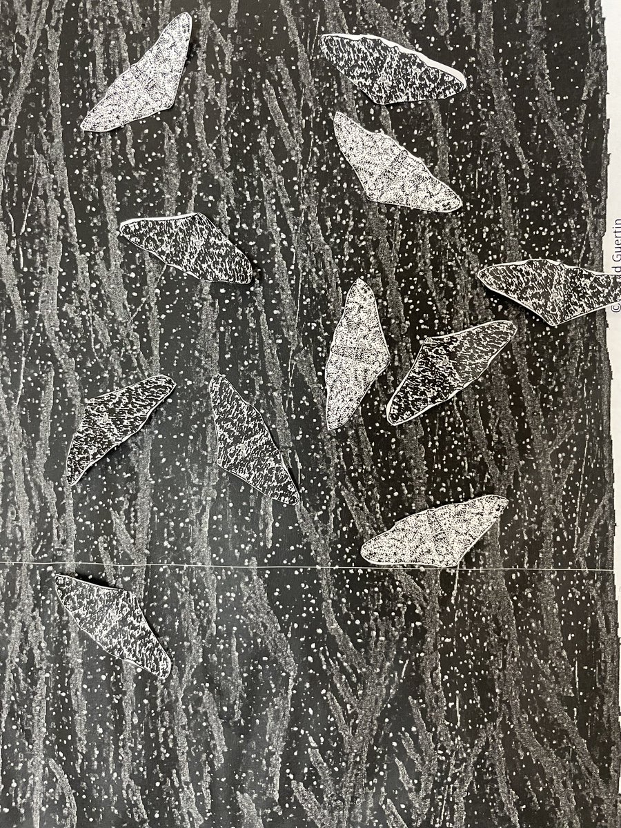 JenniferHallKMS's tweet image. Natural selection in action! Students enjoyed simulating the Peppered Moth population changing over time due to pollution and predation. #WICOR #LabInvestigation #KMSAVID #HumbleISD_AVID #KMSScience #KMSCougarPride #Humble_2ndScience #KMSClassOf2026