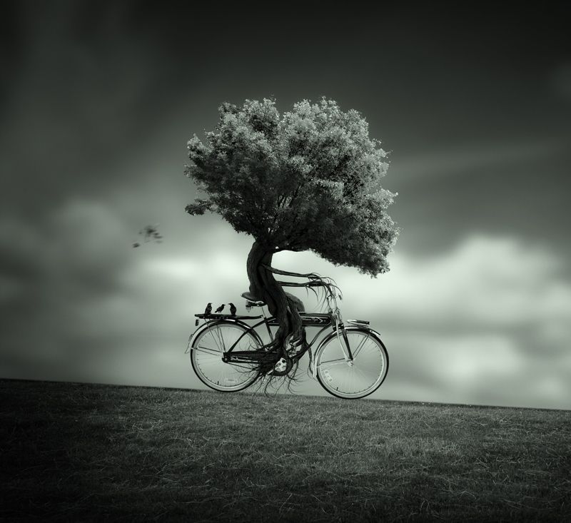 noveliciouss's tweet image. When all is said &amp;amp; done, the novel belongs to the reader &amp;amp; his or her #imagination
―Alice Hoffman
#amwriting
Barrena