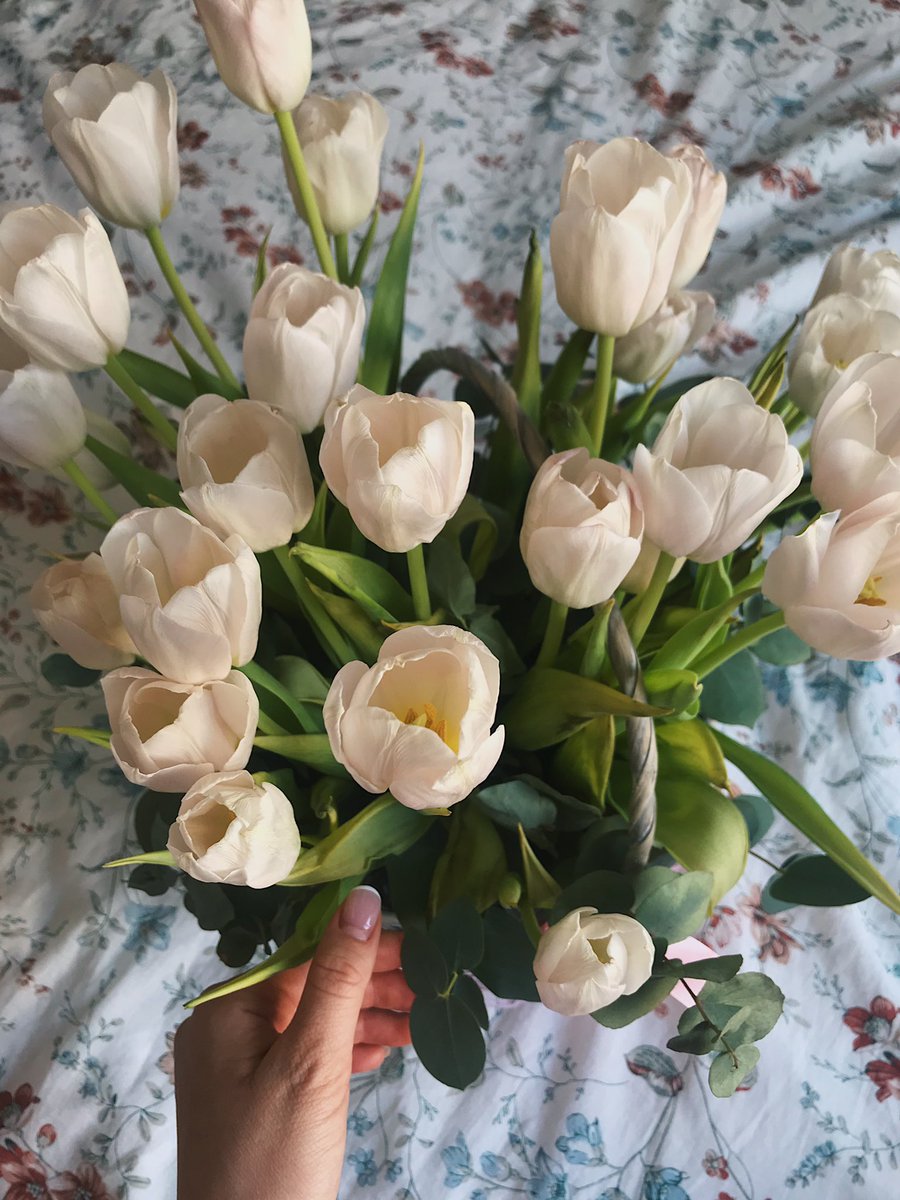 SBurhanova's tweet photo. https://t.co/jxn7FQck8O