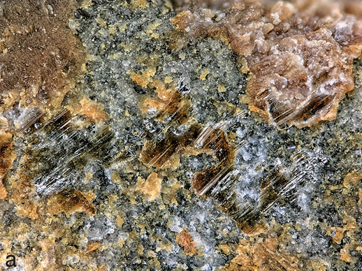 New mineral alert! My first new mineral, wildcatite, is officially published - a calcium iron tellurate hydroxide, CaFeTeO5(OH). It is named for the small gold prospect in which it was found, Wildcat prospect in Utah, USA, which I visited in 2018.
doi.org/10.3749/canmin…
(1/7)
