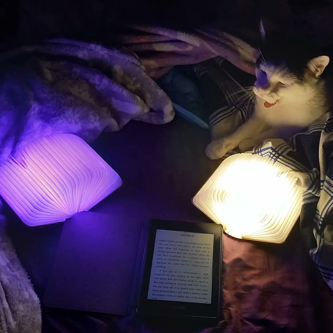 smbslt's tweet image. Another long night #cantsleep my wee #booklight one stays normal the other changes/rotates colour.  Little #paws is intrigued.  She may have seen the big one but not these wee ones.  #shattered #reading #latenight #kitty #cat xxx